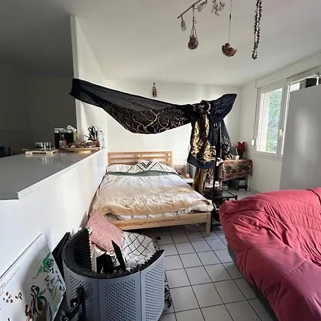 Appartement Lumineux Croix Rousse *