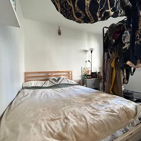 Appartement Lumineux Croix Rousse Lyon